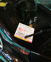 �������ġ������̫���ˣ������ų�һ���亹��