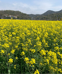 �������ġ��������Ͳ˻�