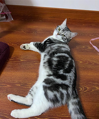 Ѱè���£������س꣩