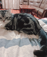 Ѱè���£������س꣩