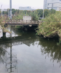 ���۸��᡿����or�ŵ����ԣ��ĸ����ǻ����ı��ϣ�