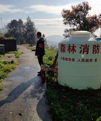 �ٺ��������������ڷ���ɭ�ֽ������ͨ��