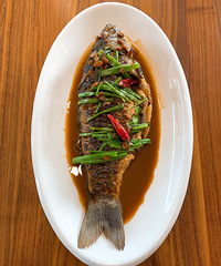 �����մ�������������