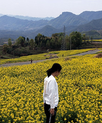 �������ɽ�Ͳ˻���������Ϫ�����㿴�һ�