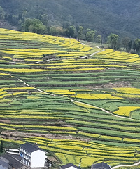 �������ɽ�Ͳ˻���������Ϫ�����㿴�һ�