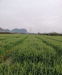 �������ġ�Ժ�ż�����Ͼ�Ȼ�м���Ķ������