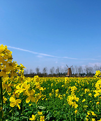 ��̨�ݣ�����ôһ��ʪ���ؾ���һ���ļ���������