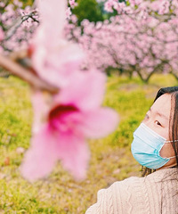 ������������������ġ�ʮ�����֡���������