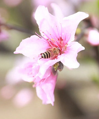 ������������������ġ�ʮ�����֡���������