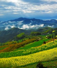 ��ɽ�ƺ���ʯ��ӣ��