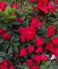 ������һ�ֻ���֪�����жž�