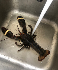 每餐做完饭收拾起码要20分钟至半小时