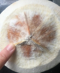 买了几个椰子来做椰子鸡,一点都不比外面差