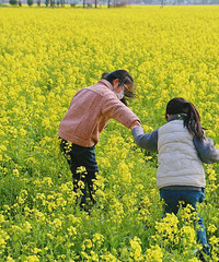 台州5个春游好地方,樱花、紫荆花、桃花、油菜花!