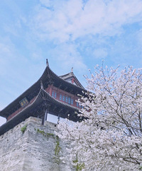 ̨��5�����κõط���ӣ�����Ͼ������һ����Ͳ˻���