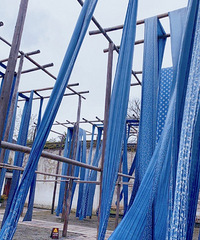 ��դ��ȱһ������