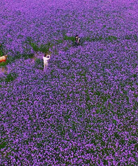 �㽭�崦���һ�Դ����̨�ݾ�ռ��������