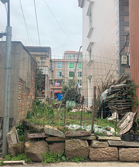 村里公有土地被一户村民私自占有,建小屋,村干部管不了