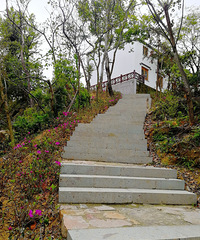 [������]̤������ɽ������һ�������徲�ĺõط�