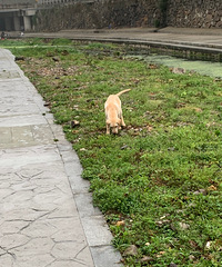 �п����Ҽҹ��ӵ��𣬵����л