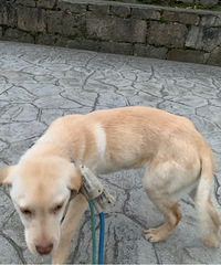 �п����Ҽҹ��ӵ��𣬵����л