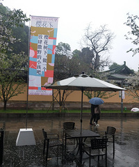 ��������ҲҪ��ȥ�����磬�������������