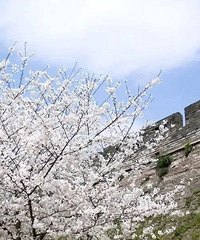 ��̨��ӣ����ͼ����ɫ�������ڣ�̨�ݵ�ӣ��Ҳ�Ǻܺÿ��ģ�