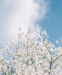 ̨�ݸ��ǵ�ӣ���ѵ���ѹ�����