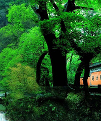 ̨��75�ҹ���A����������ȫ���ο�����Ʊ����ôԤԼ����