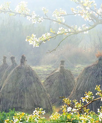 ��̨�ͻ���ͼ���������ʹ���������������ģ��