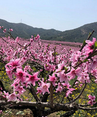 �ٺ������˵Ĵ����Ѿ�������һ������