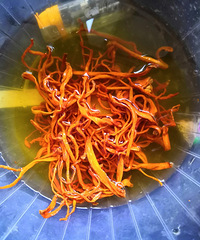 �������ġ�����ǳ�ݻ�����ôԽ��Խ��Ⱦɫ�Ľ��빽