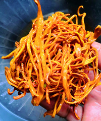 �������ġ�����ǳ�ݻ�����ôԽ��Խ��Ⱦɫ�Ľ��빽