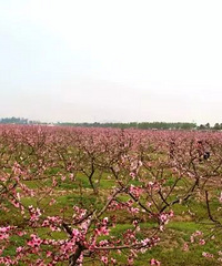 �����Լ��ܱ�����ô�����һ�ȥ��