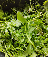 �����󵰣��͸����Ҷ��һ������������˵�ζ��