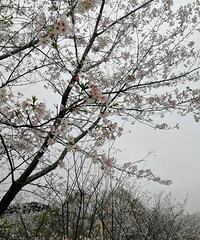 [������]����㳡ӣ����ѩ