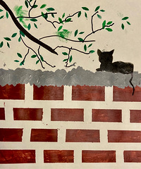 ���ֹ����ӿ��á���΢����ǽ�ߵ�è����̫���ˣ�