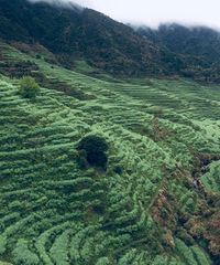 һ�����Լݣ�����ɽ--��ɽ--����ɽ--��Դ����--���ɾ�