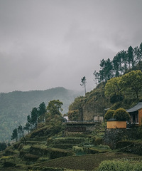 �ٺ��Ŵ��� ���