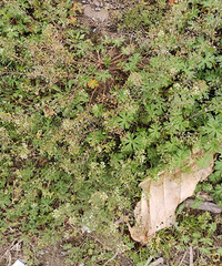 �������ġ��ö��˲���ʶ���ˣ��������Ѻ���ʶ�ɣ�