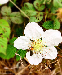 ���۸��᡿�����������٣�����ȥ����