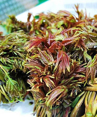 ����̨����Щ�����޶���ʳ�������һ�ڣ�