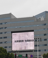 今年清明节,与往年格外不同