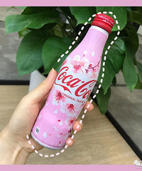 ���������̵�16��ӣ�����޶���ʳ�������ף����ͷ�����