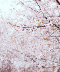 ����㳡�ܱ���ӣ����ĵ�������ֻ��ܿ��ĺ���