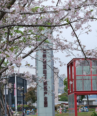 �羳���������ҵ԰ӣ��