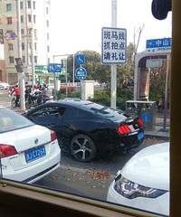 【汽车街拍】这是马儿吗?