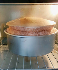 ����������������̬����һ������������������νⰡ?