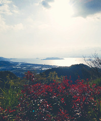 �����ɽ��������������ͷ������