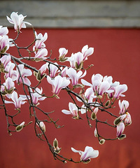 ���ʺ�һ���˵����εأ����˾ͳ�ȥ����